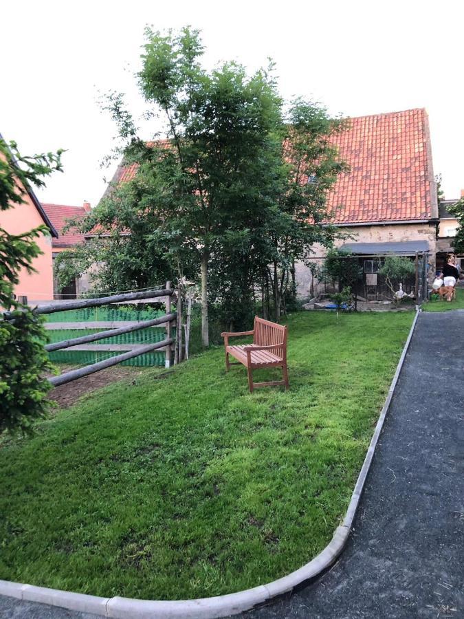 Ferienwohnung Gans Auguste Dohna Exterior photo